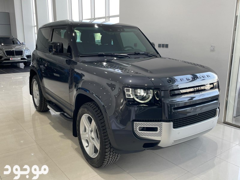 Land Rover Defender 2021 (Grey)