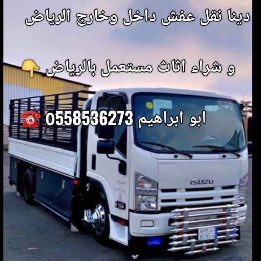 mojod