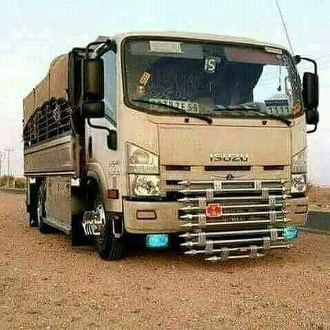 mojod