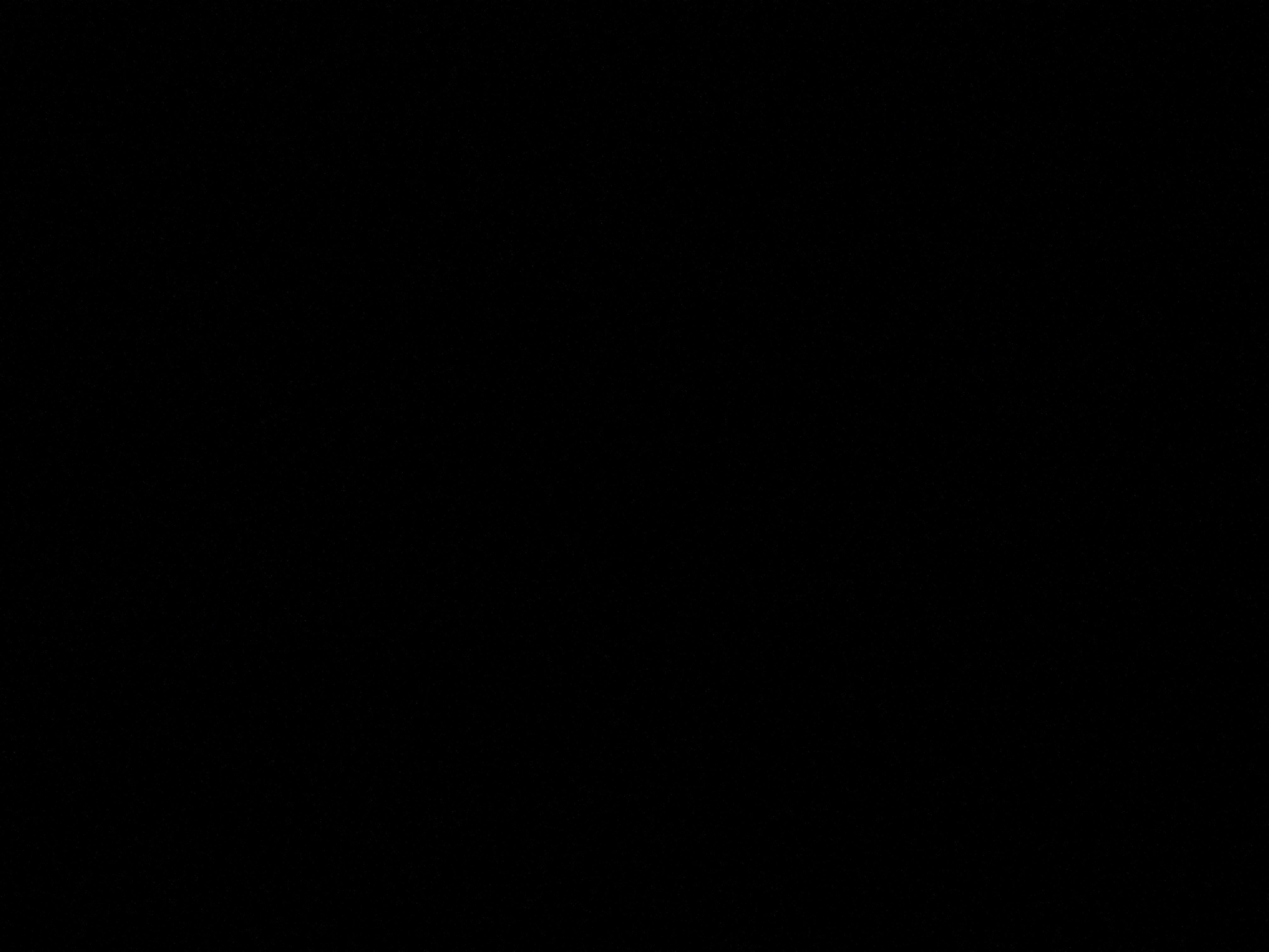 mojod