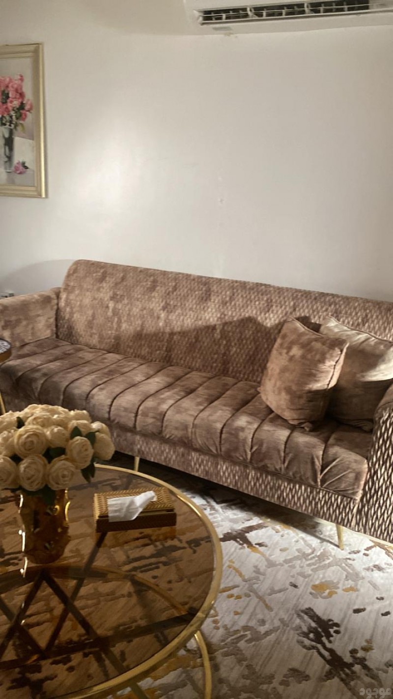 دينا طش الأثاث القديم بالرياض 0536617401 بأ حي النهضه با الرياض 