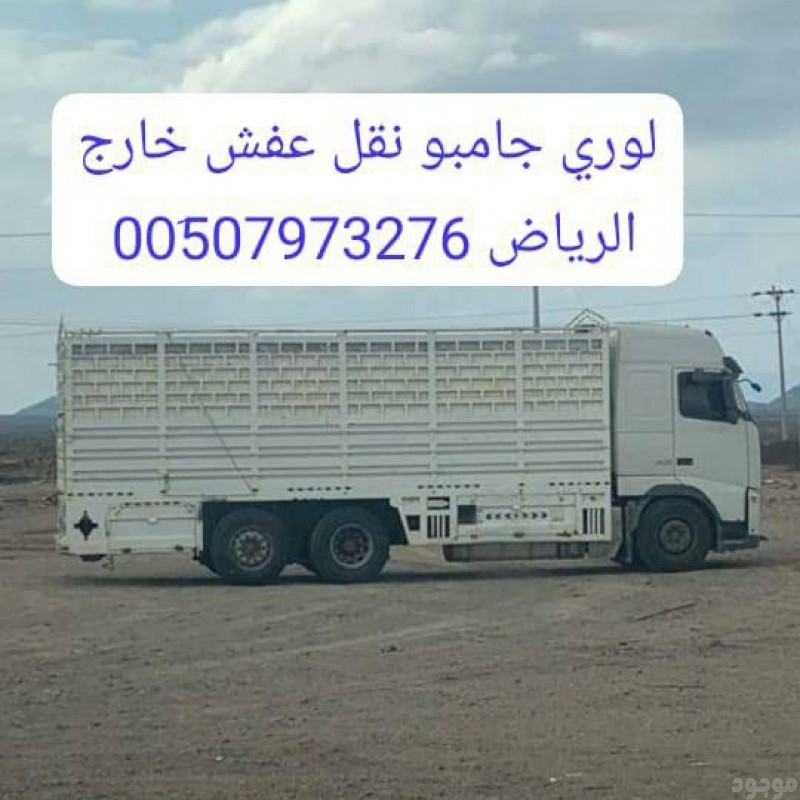 دينا نقل اثاث شمال الرياض _ 0َ533286100 