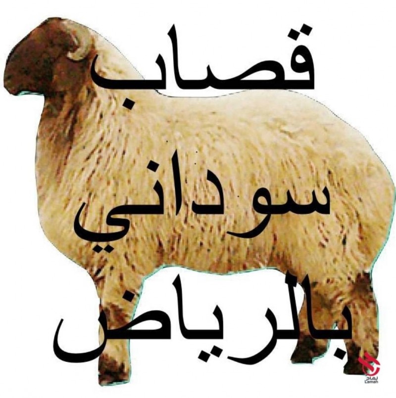 mojod