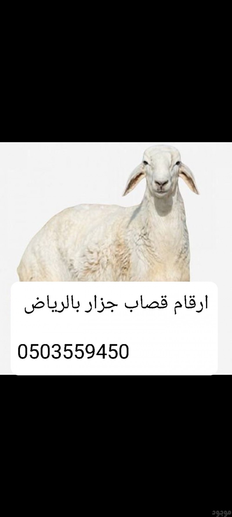 mojod