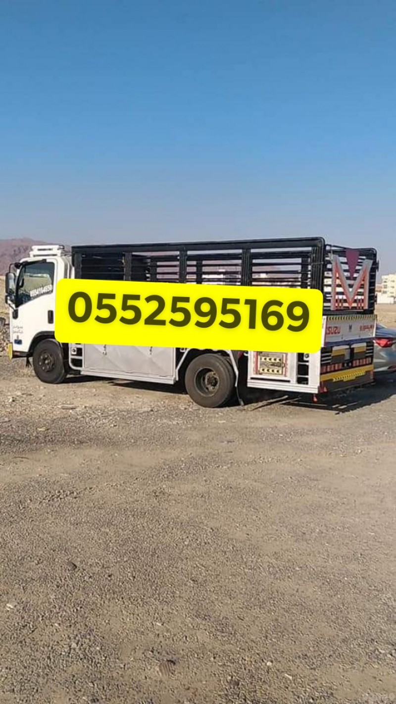 دينا نقل عفش شرق الرياض 0552595169 نقل اثاث 