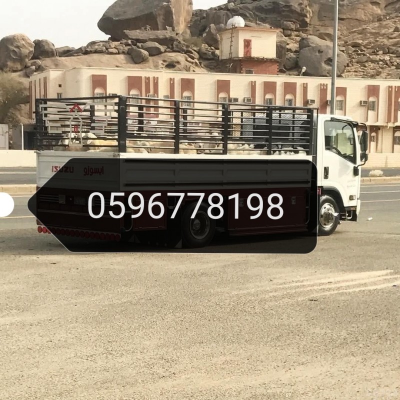 mojod