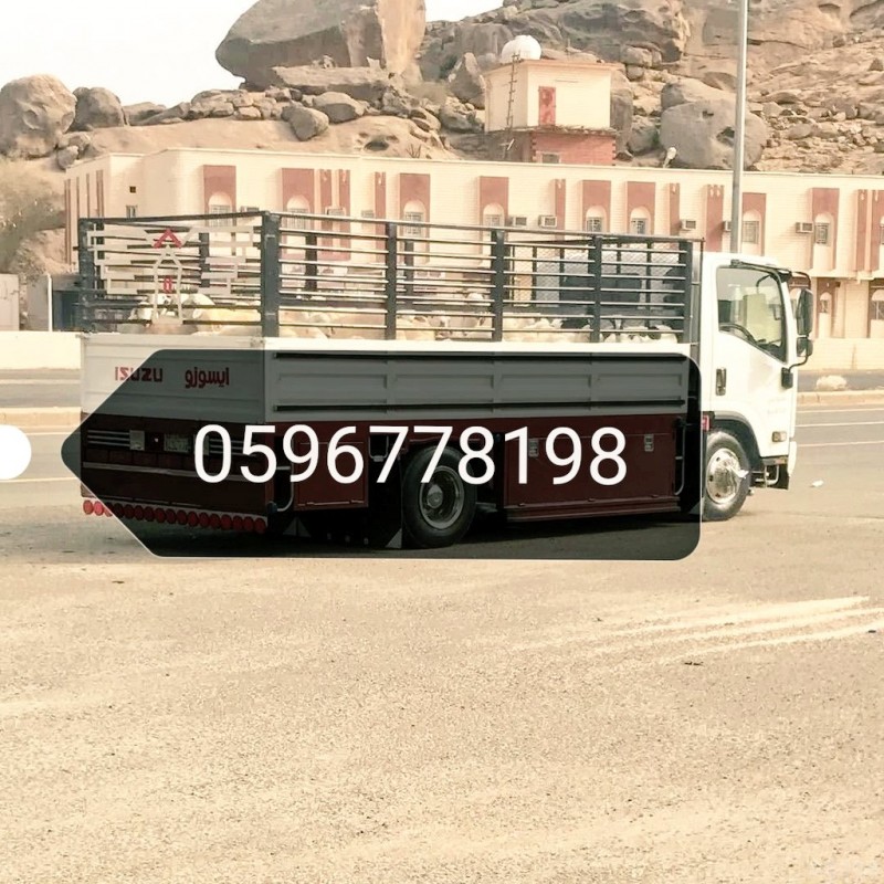 mojod