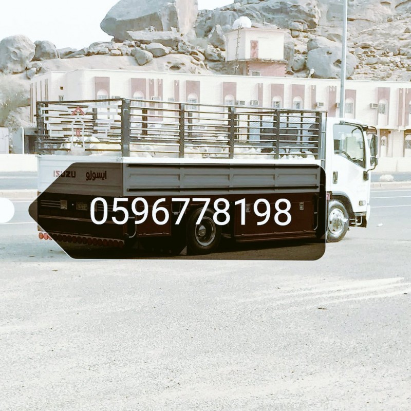 mojod