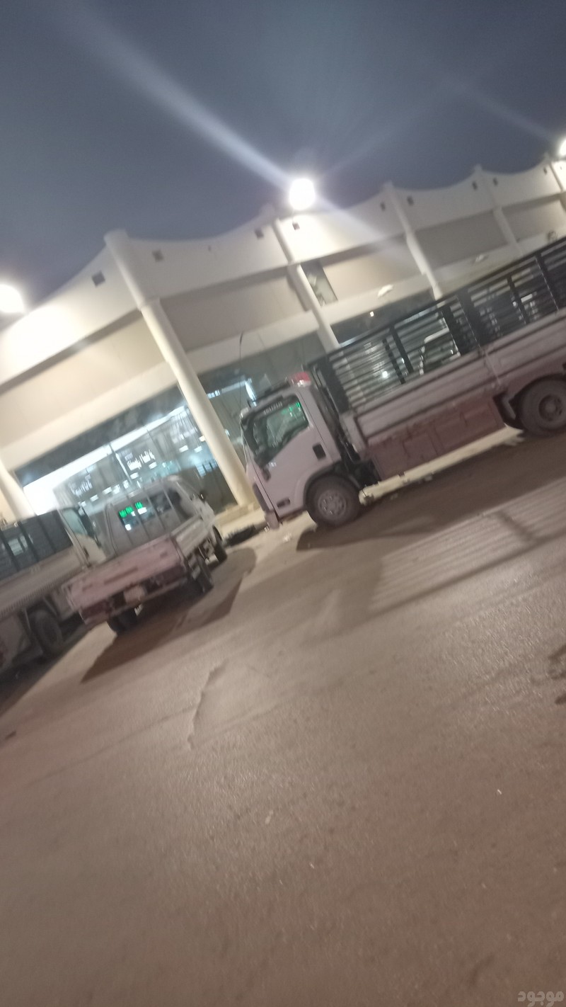 mojod