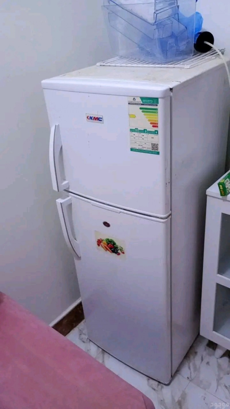 mojod