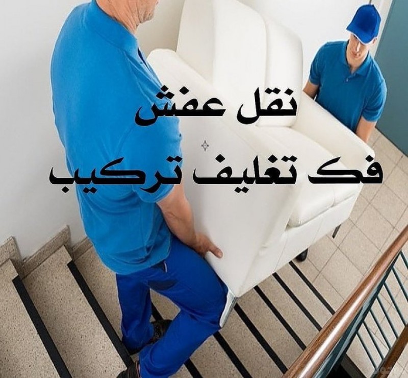 mojod